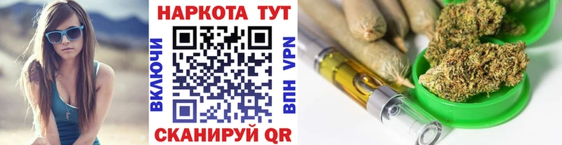 Где можно купить наркотики Светогорск КОКАИН  АМФЕТАМИН  Канабис  ГАШИШ  Alpha PVP 