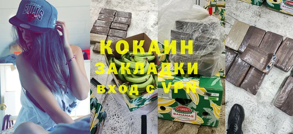 индика Моршанск