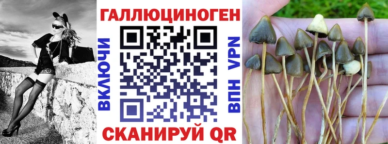 Галлюциногенные грибы ЛСД  Светогорск 